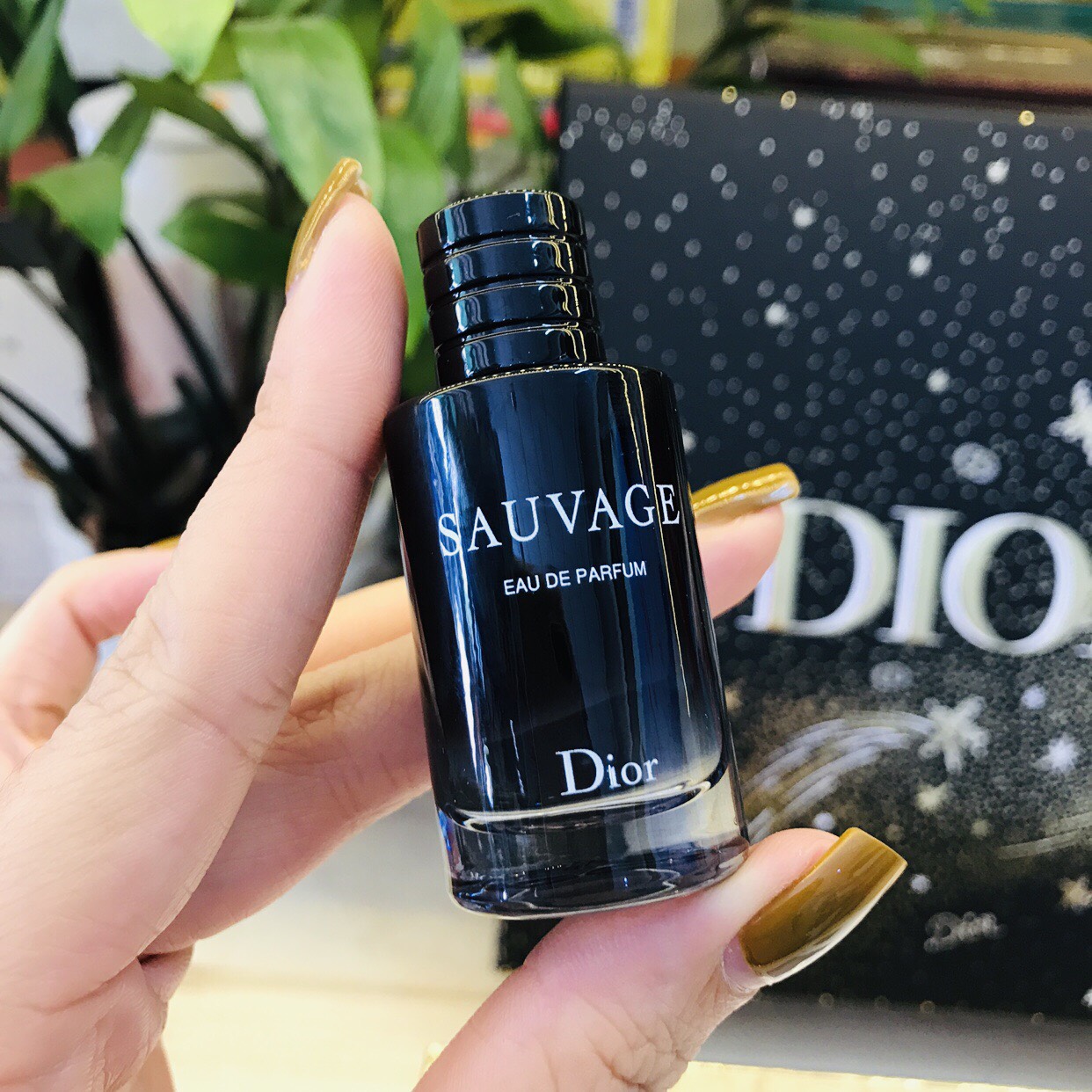 Tổng hợp 59 về set dior sauvage mới nhất Du học Akina #47 Tổng hợp 59 về set dior sauvage mới nhất Du học Akina